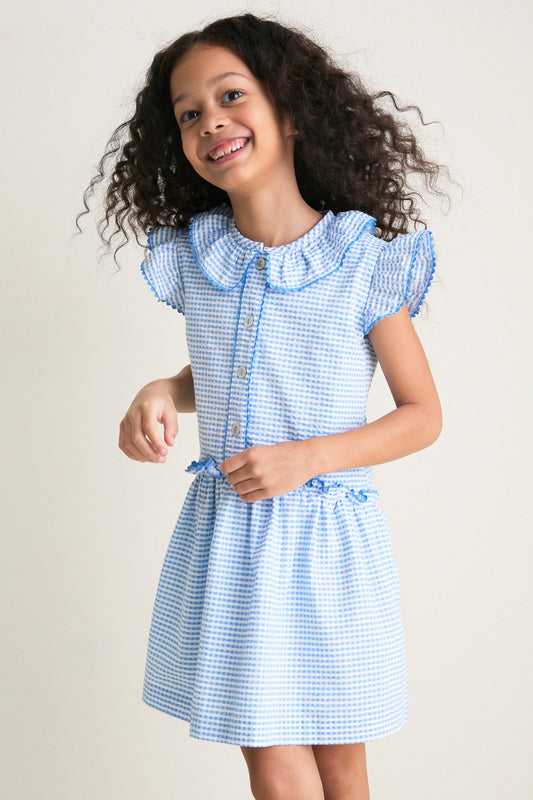 Blue Gingham Fabiola Drop Waist Dress