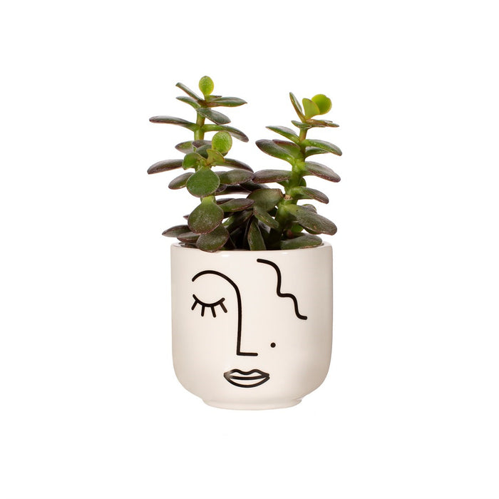 Abstract Face White Mini Planter - Modern Home Interiors