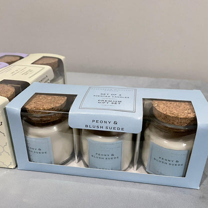Elizabeth Williams London Home Fragrance Pastel Set of 3 Candles Gift Set - Modern Home Interiors