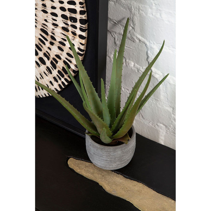 Fiori Large Aloe Vera with Cement Pot - Modern Home Interiors