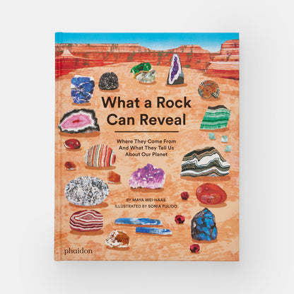 What a Rock Can Reveal: Where They Come From And What They Tell Us About Our Planet